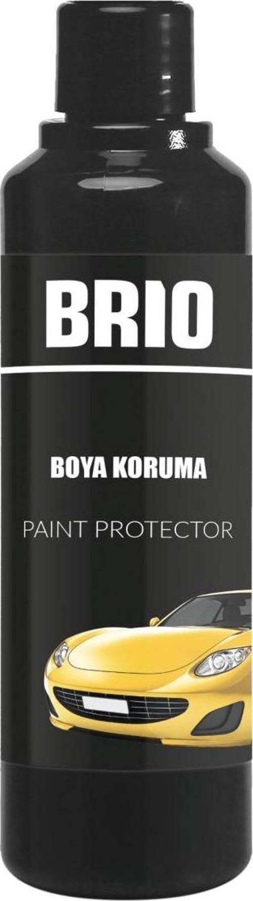 Boya Koruma 250 Ml