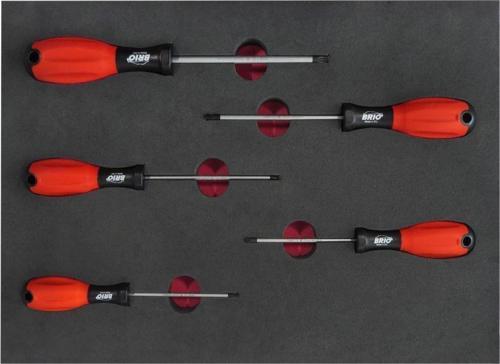 Tornavida Seti Torx (Tork) 5 Parça T10-T30 Sünger Yataklı