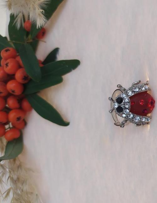 Gümüş Renk Ağustos böceği Yüzük Kristalli Ayarlanabilir Çocuk Yüzük