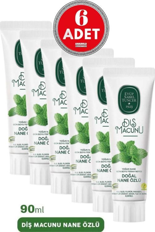Doğal Nane Özlü Diş Macunu 6 x 90 ML