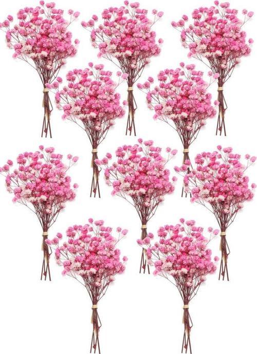 10lu Set Kuru Çiçek Doğal PEMBE KOYU Cipso Şoklanmış Bozulmaz