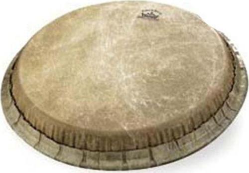 11'' Conga Derisi