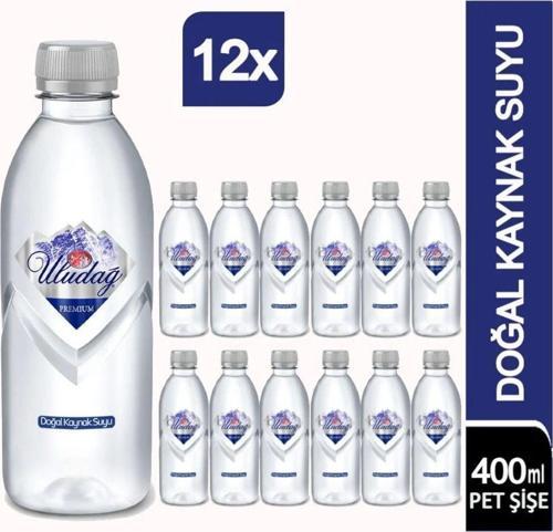 Premium Su Pet Şişe 400 ml x 12 Adet