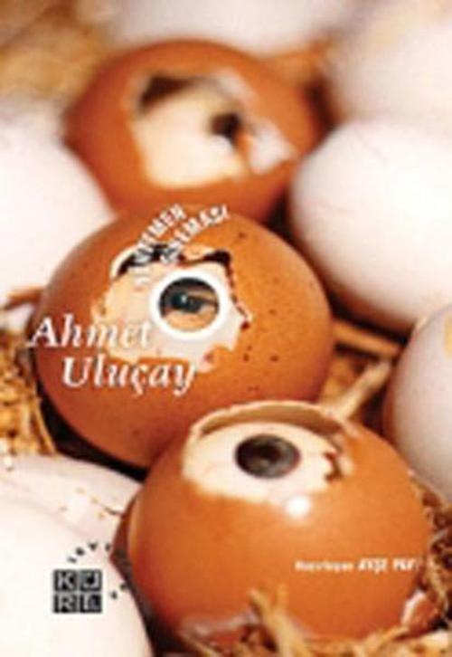Ahmet Uluçay Yönetmen Sineması