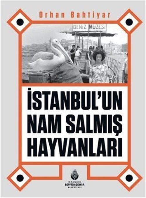 İstanbul'un Nam Salmış Hayvanları