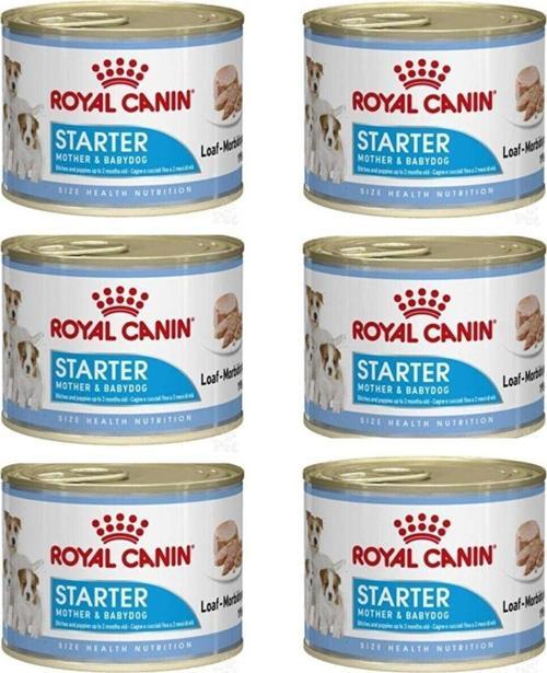 Starter Mousse Yavru Köpek Konservesi 195 Gr - 6 Adet