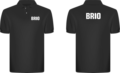 Erkek Kısa Kollu Polo Tişört M