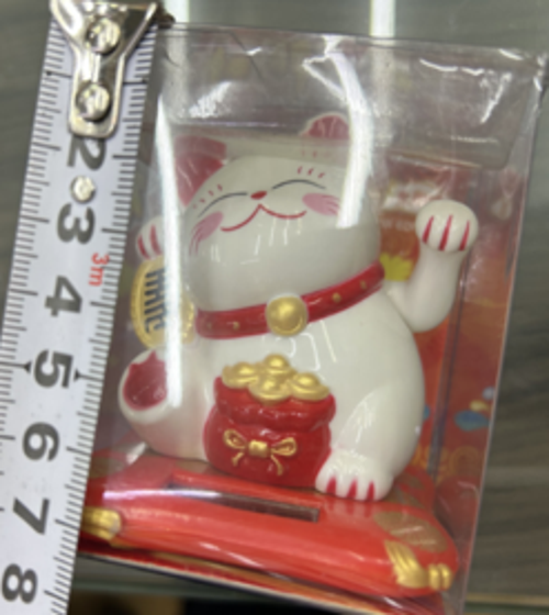 Şanslı Kedi