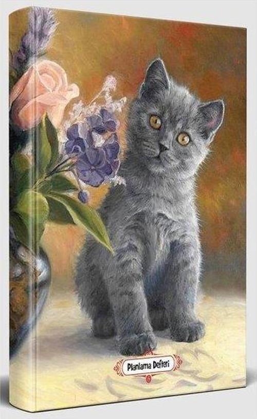 Halk Masum Kedi Planlama Defteri