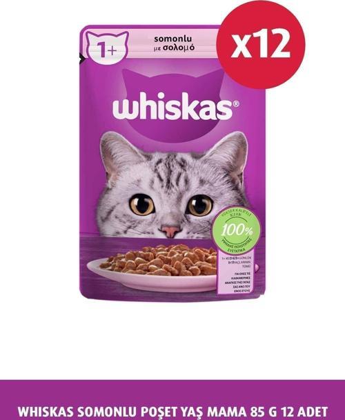 Somonlu Poşet Kedi Yaş Mama 85 G 12X