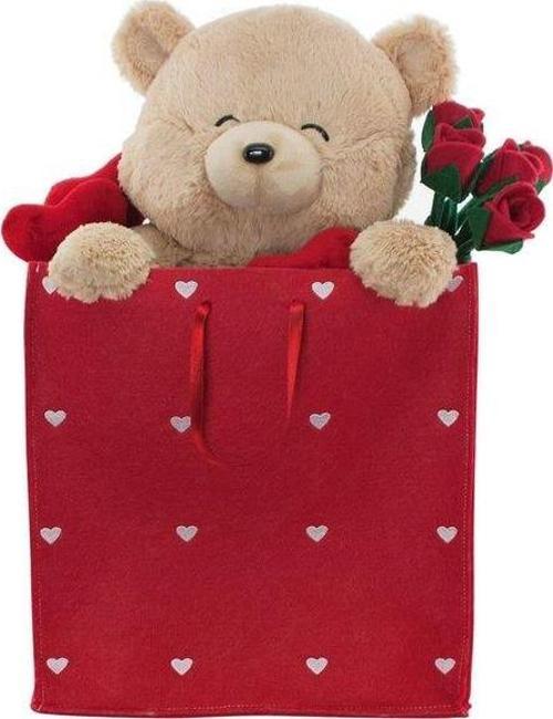 Sevgiliye Hediye Fluffy Çantada Ayı 55 Cm