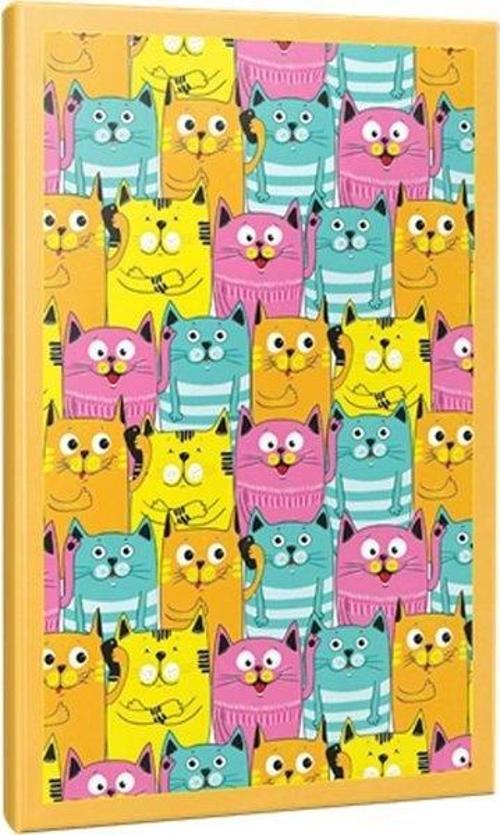 Tuylu Kulaklar 64 Sayfa Cizgili Defter