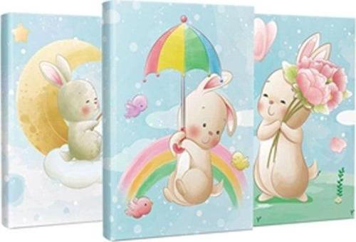 Kalp Yağmuru 3'lu Defter Seti