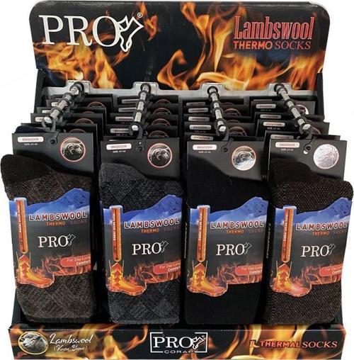 Pro Çorap Mix Lambswool Termo Erkek Çorabı 24'lü Stand (13907)