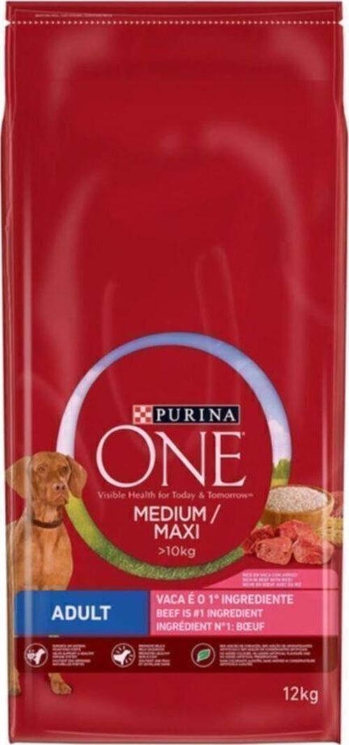 One Yetişkin Köpekler Için Sığır Etli 12 Kg