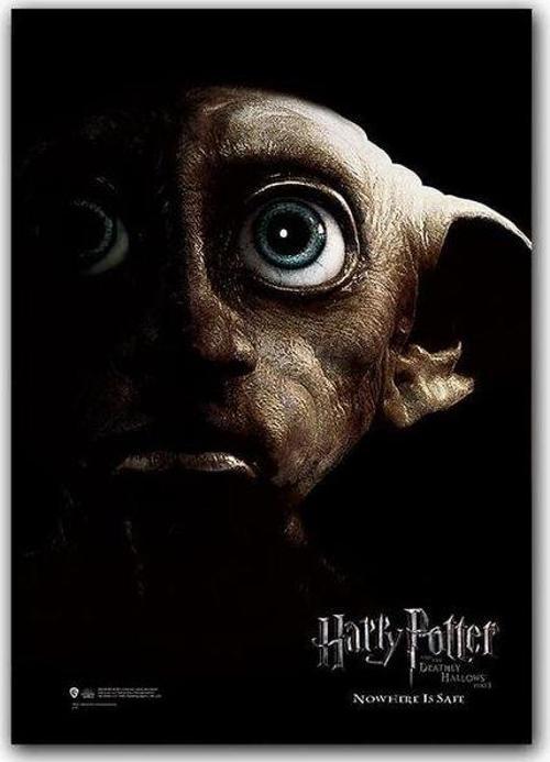 Wizarding World  Poster  Deathly Hallows P.1 Dobby B.