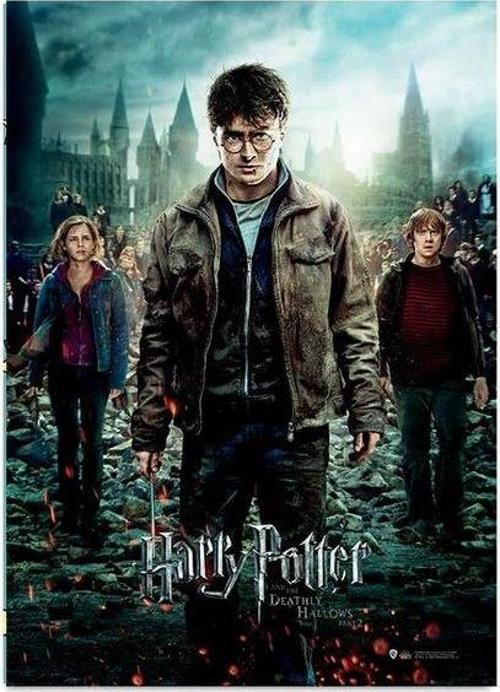 Wizarding World Deathly Hallows Part 2 Afiş
