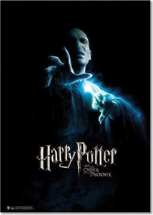 Wizarding World Order of the Phoenix Voldemort Poster