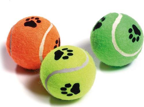 Köpek Oyuncağı Sert Tenis Topu 6.5 cm