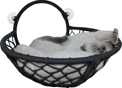 Vantuzlu Oval Kedi Hamağı Kedi Yatağı 17*46 cm Siyah