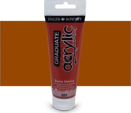 Daler Rowney 120 Ml Graduate Akrilik Boya 201 burnt sienna