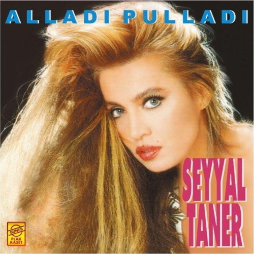Seyyal Taner Alladı Pulladı -