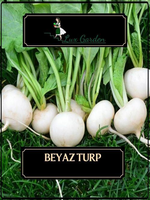 Beyaz Turp Tohumu 120 Adet