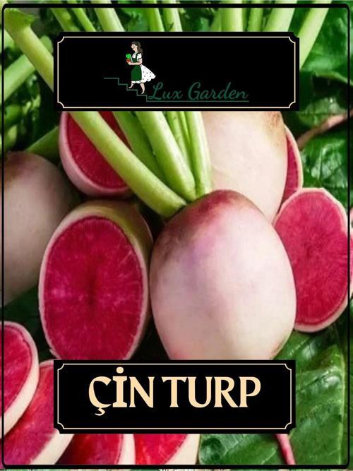 Çin Turp Tohumu 40 Adet