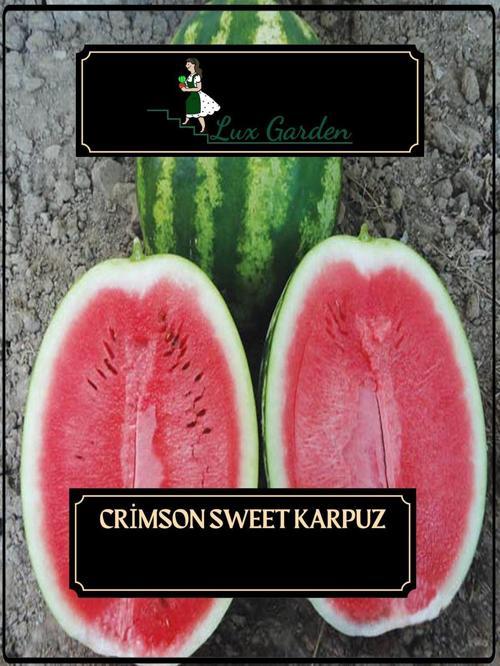 Crimson Sweet Karpuz Tohumu 10 Adet