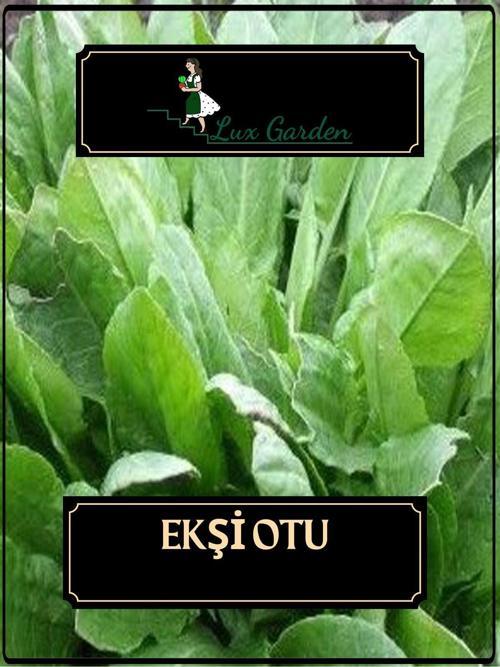 Ekşi Otu Tohumu 12 Adet