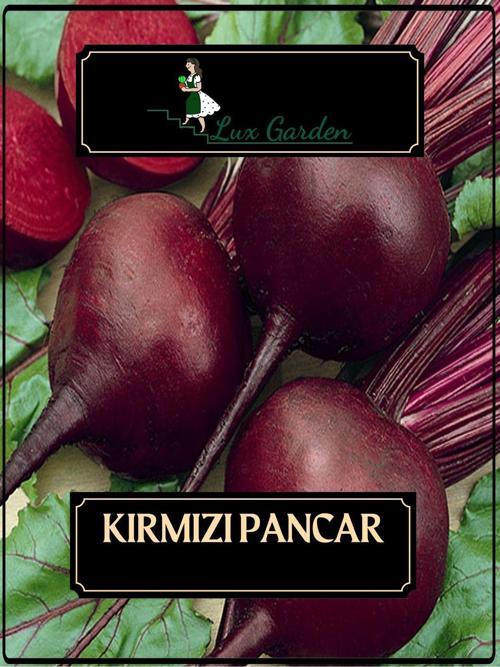 Kırmızı Pancar Tohumu 40 Adet