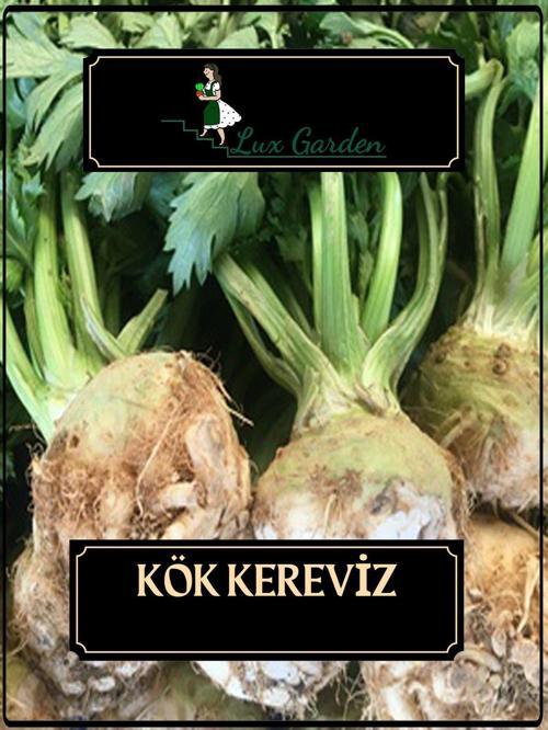 Kök Kereviz Tohumu 420 Adet