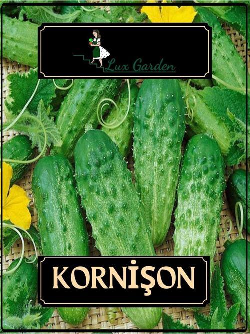Kornişon Tohumu 16 Adet