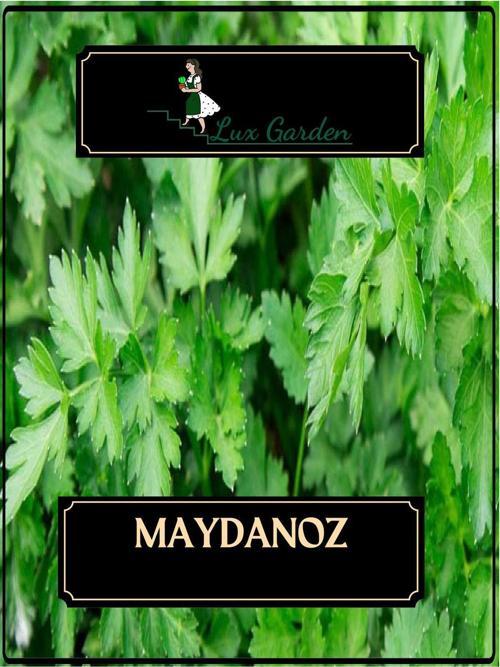 Maydanoz Tohumu 350 Adet