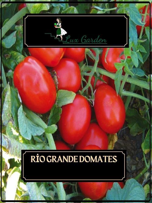 Rio Grande Domates Tohumu 140 Adet