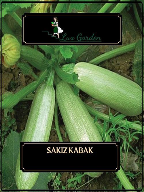 Sakız Kabak Tohumu 20 Adet