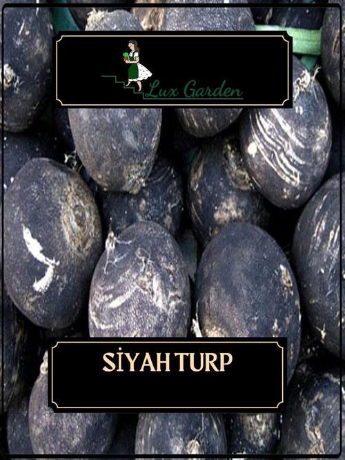 Siyah Turp Tohumu 80 Adet