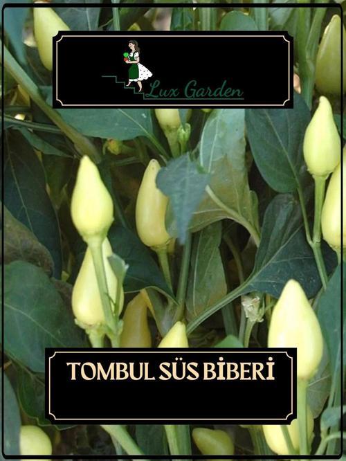 Tombul Süs Biberi Tohumu 80 Adet