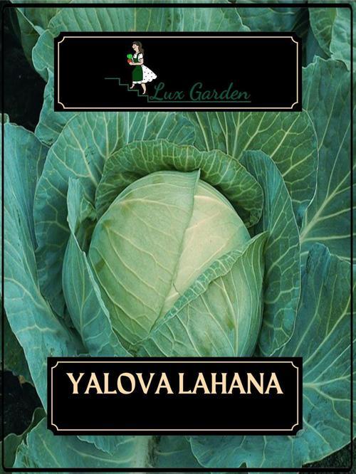 Yalova Lahana Tohumu 160 Adet