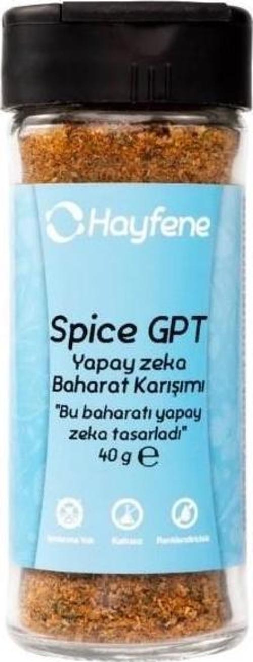 Spice GPT Yapay Zeka Baharat Karışımı 40 gr