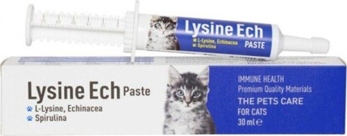 Lysine Ech Paste ( Immune Health ) 30 Ml Pasta