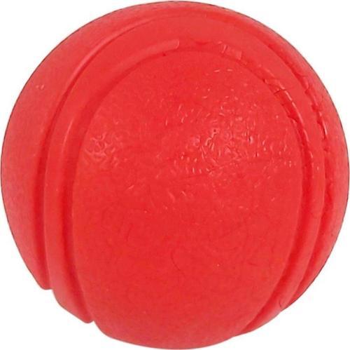 PLASTİK SERT TOP L