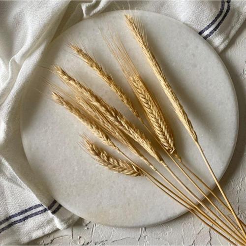 Mermer 25 Cm Beyaz Yuvarlak Sunum Tabağı