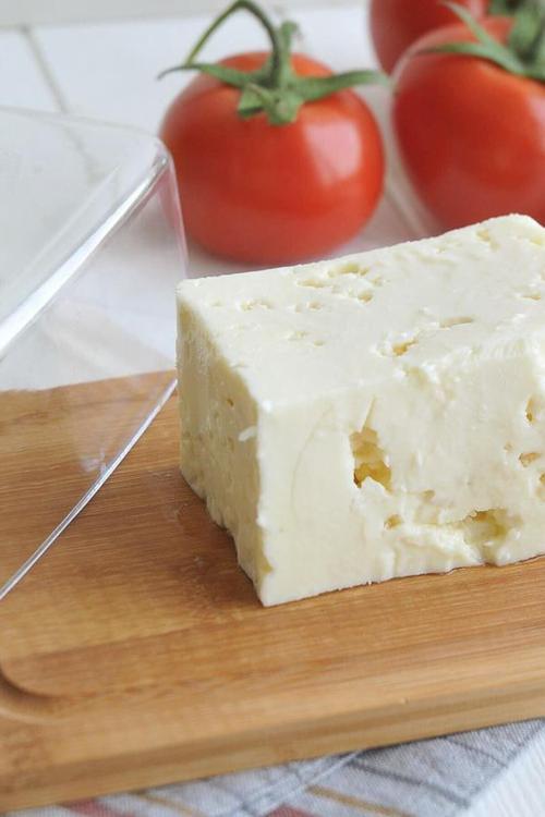 Novita Peynir Saklama Kabı B2274