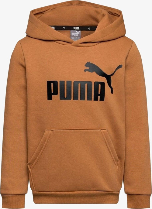 Ess Big Logo Hoodie Kahverengi Erkek Sweatshırt