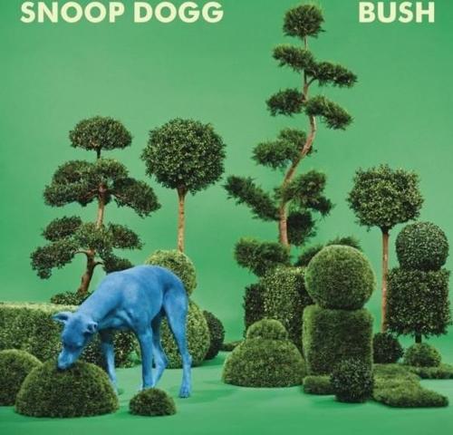 Bush