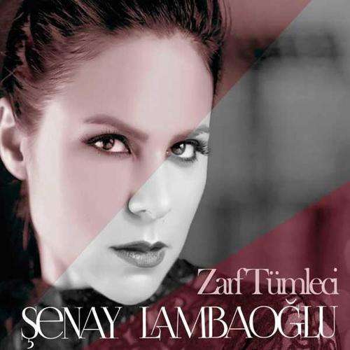 Zarf Tümleci