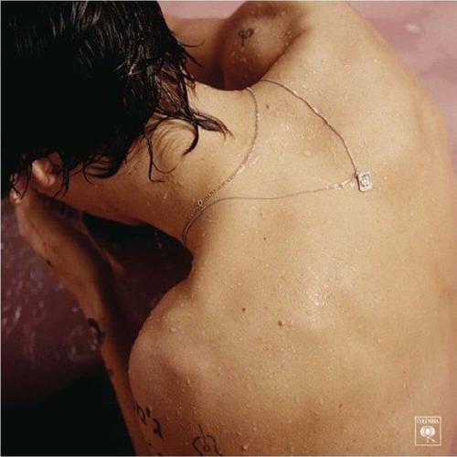 Harry Styles Harry Styles Plak