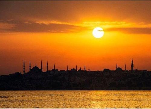 X1 Art Sayı Boyama 40X60cm İstanbul