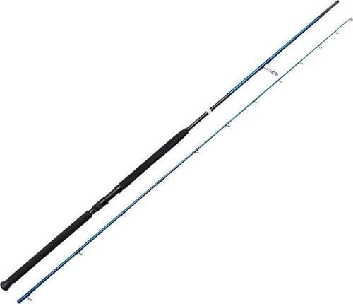 SGS2 Shore Jigging 10'/3.05m 60-150 gr 2 Parça